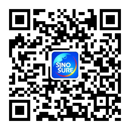 中國(guó)出口信用保險(xiǎn)公司2017年暑期實(shí)習(xí)生招聘公告