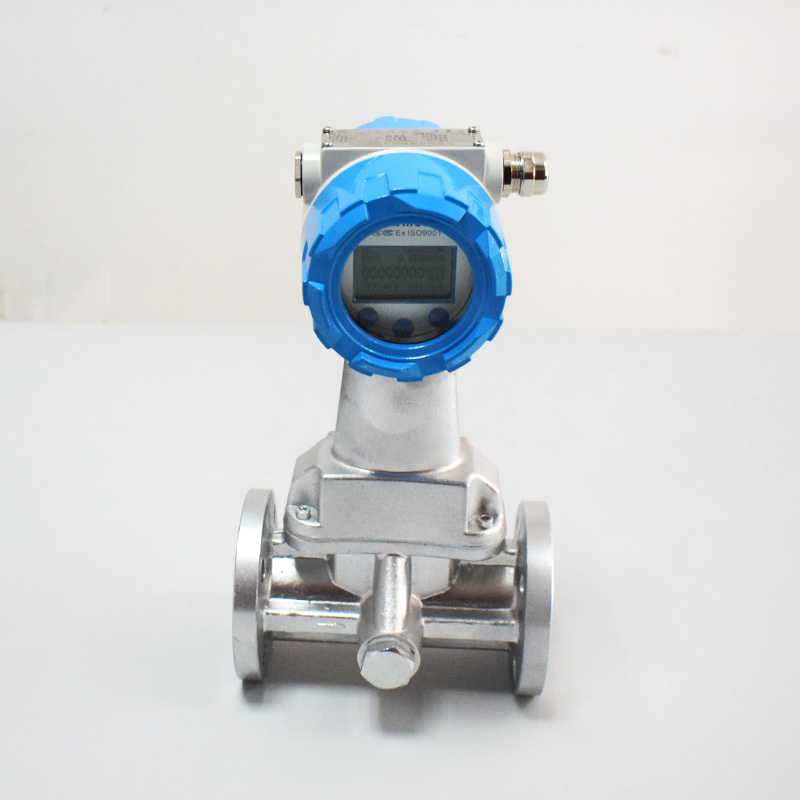 旋進(jìn)旋渦流量計(jì)