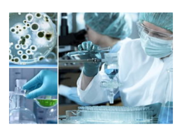 貝特流量計在醫藥行業的應用